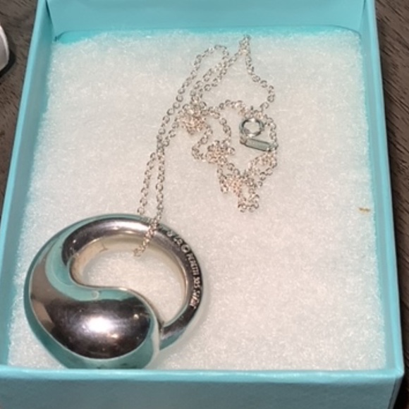 Tiffany & Co Elsa Peretti Large Eternal Circle Pendant with T & Co. 925 Chain - Picture 5 of 11